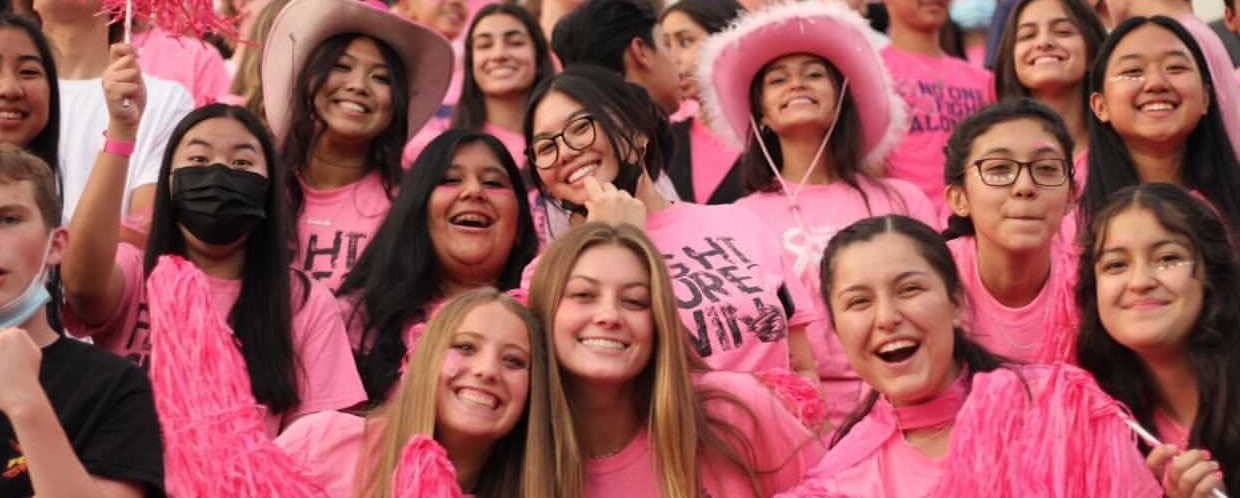 Student section at pink out game